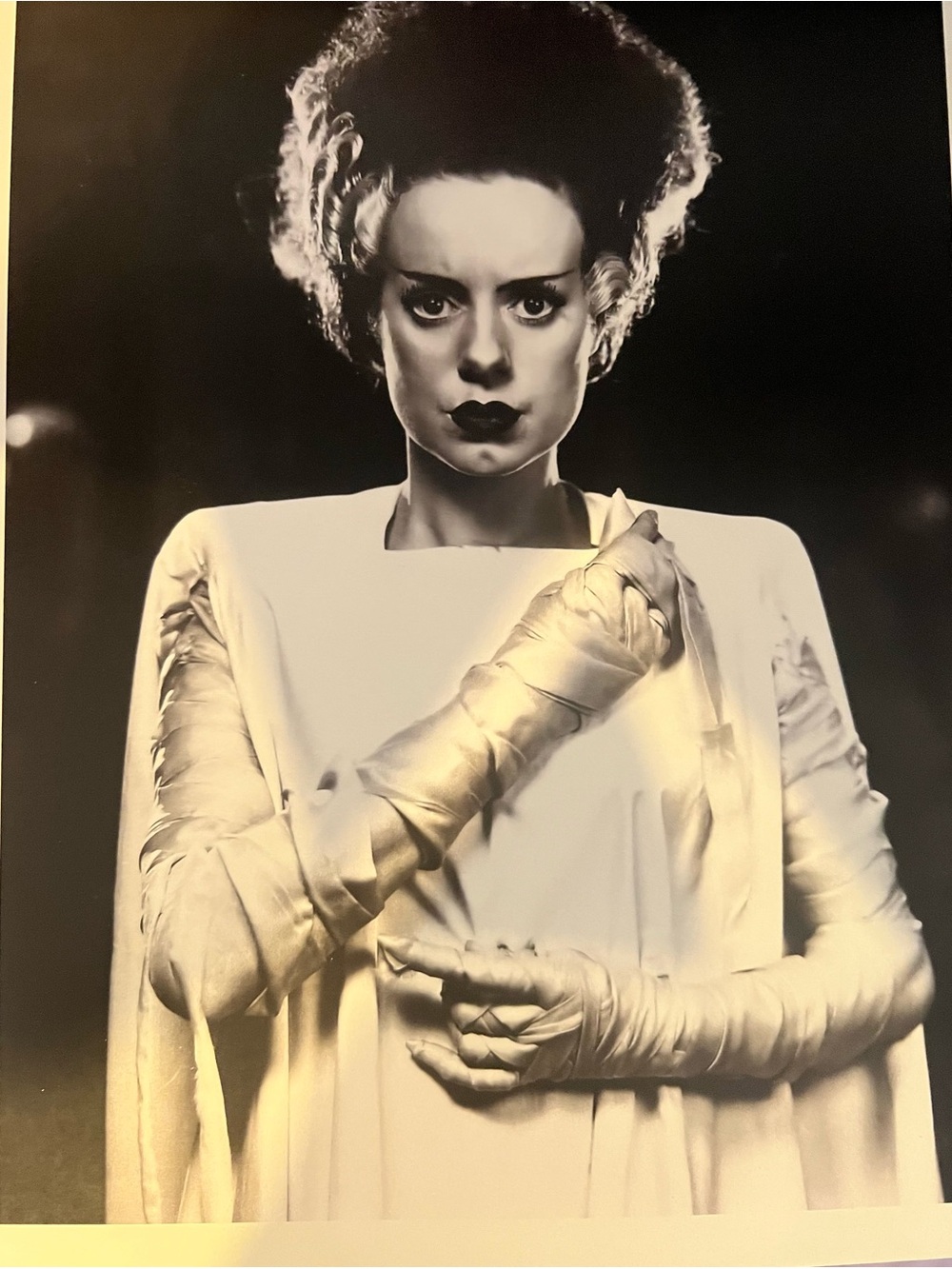 Universal Monsters Bride Of Frankenstein Classic Horror print